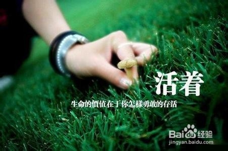 生命的意义所在