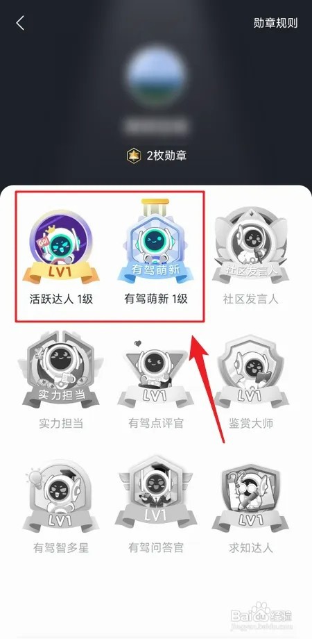 有驾如何查看获得的勋章