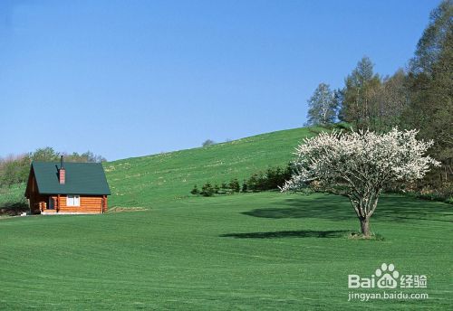 怎样利用PS做出水中倒影效果