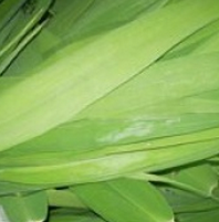 微波炉不能加热哪些食物