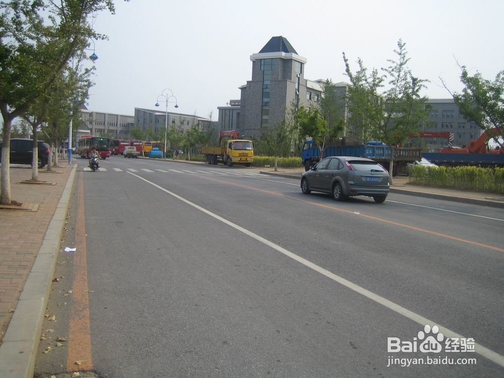 怎样告诉孩子安全过马路--30