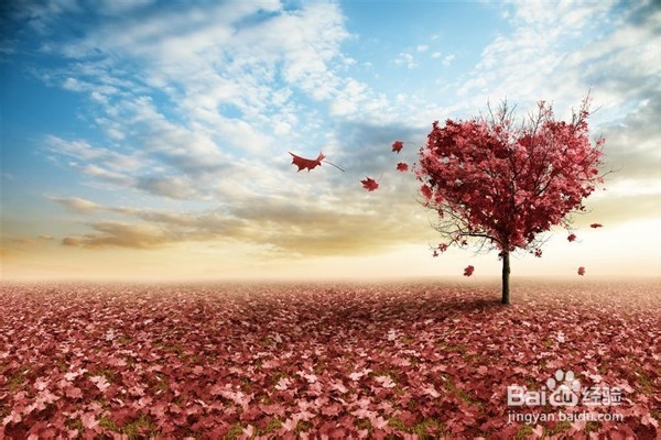 高三冲刺阶段如何克服倦怠心理