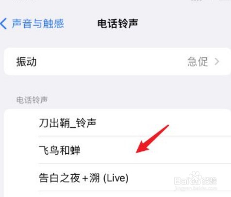 iPhone如何更换铃声