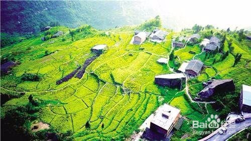 如何做好农旅融合发展