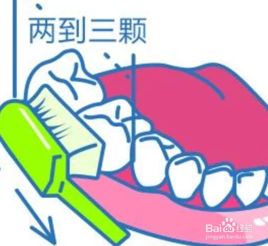 正确的刷牙方法