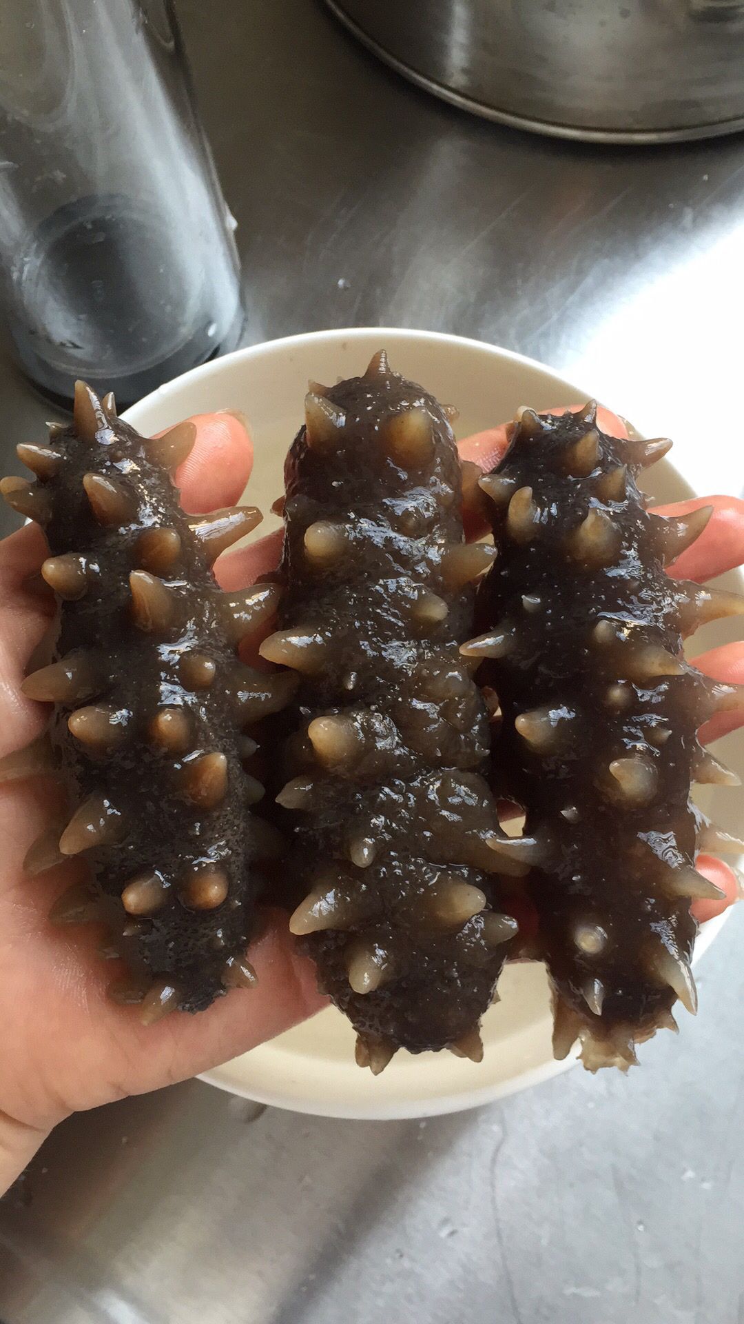 传统海参发制法，原料这么贵，一定要好好利用！