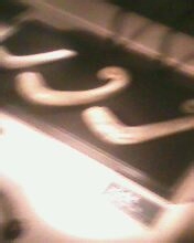 太阳神鸟——金沙遗址游览