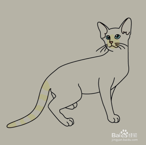 如何手工画小猫咪的简笔画？