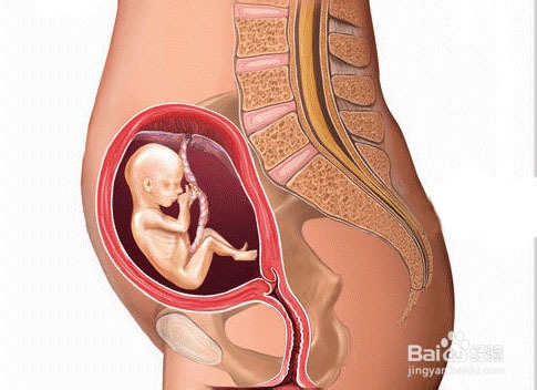 准妈妈应注意防止哪些环境伤害