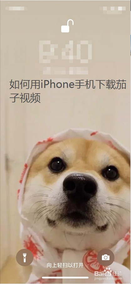 如何用iphone手机下载茄子视频 百度经验