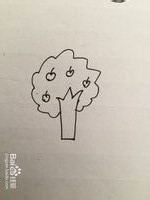 苹果树简笔画
