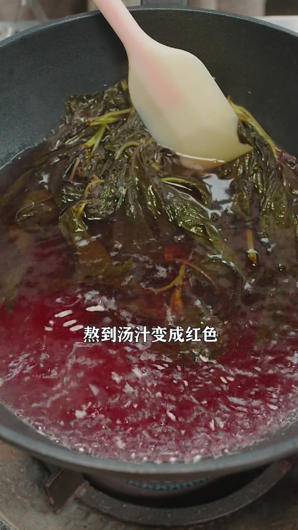 紫苏杨梅桃子姜