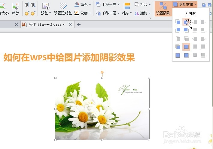 WPS中如何给图片添加阴影效果