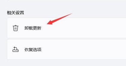 win11更新后一直闪屏怎么办