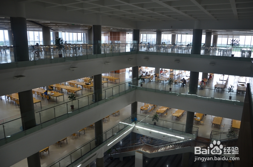 【新生指南】同济大学嘉定校区：[1]图书馆篇