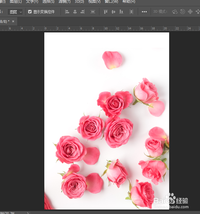 PS怎么用钢笔工具抠图