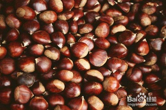 板栗如何储存最好