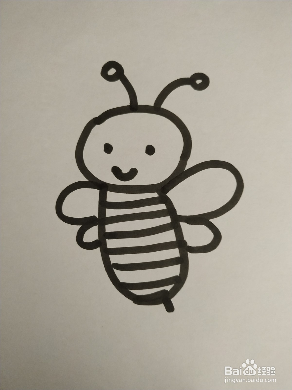 蜜蜂的简笔画技法3