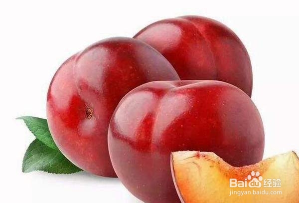 什么是寒性和热性水果?