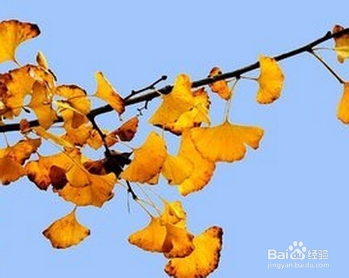 如何过上自然的生活-健康生活：[4]小经验