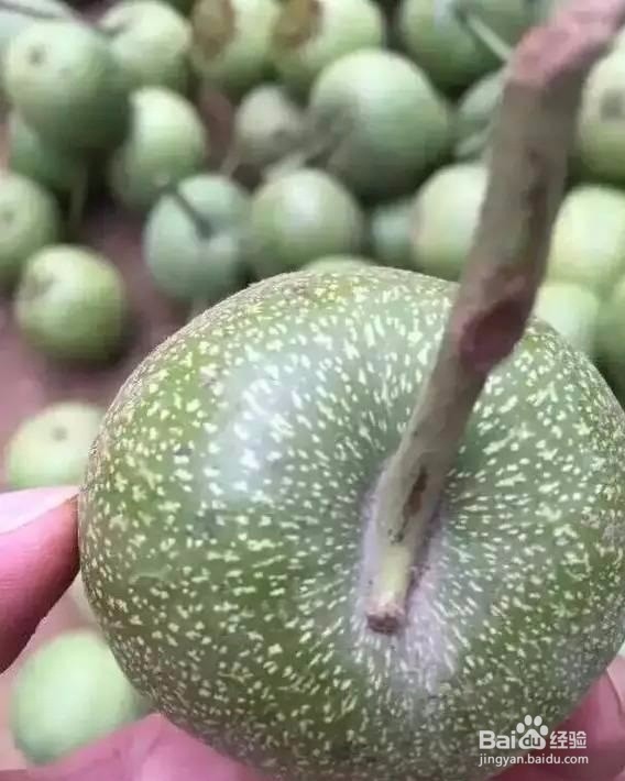 文玩核桃青皮怎么开