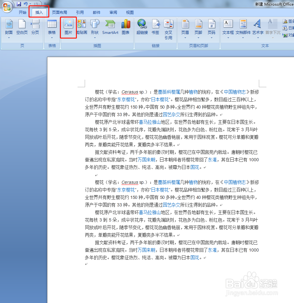 如何在Word插入图片