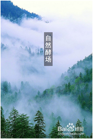 千禾味业酿造秘诀