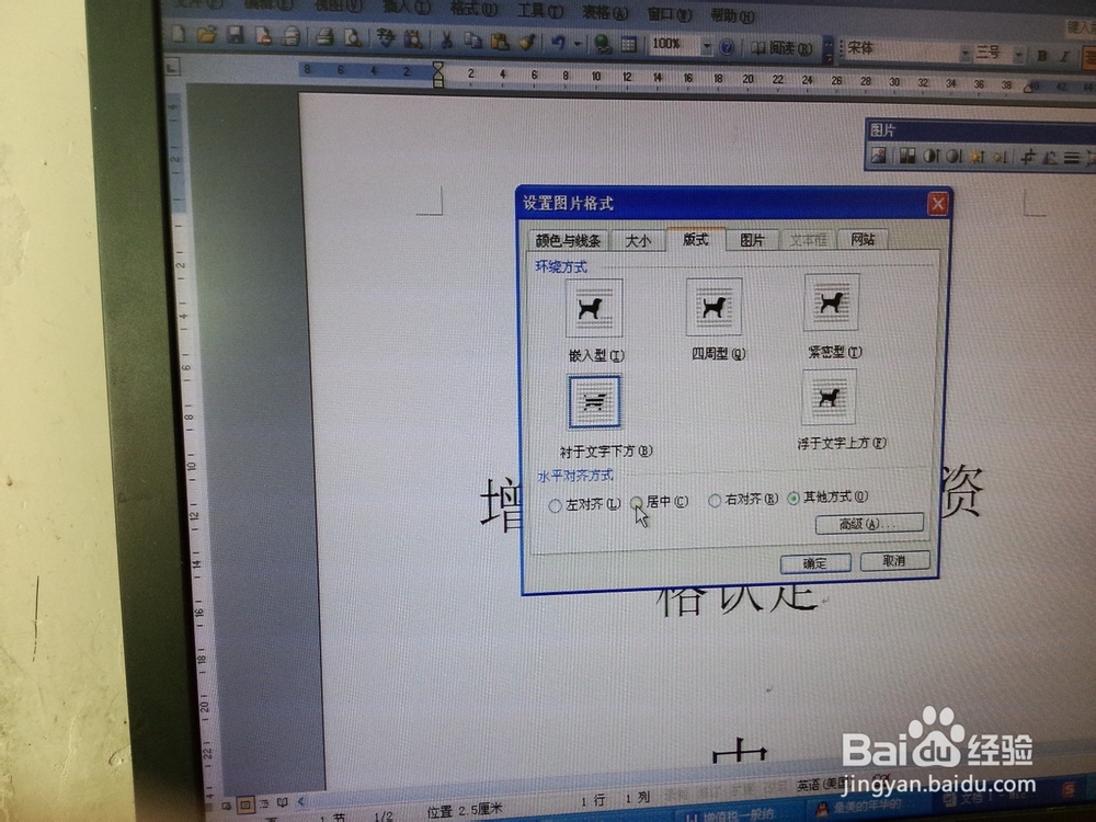 怎样在word文档中插入图片