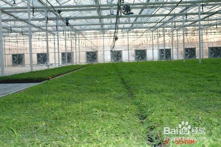 怎样做出健康的饭菜