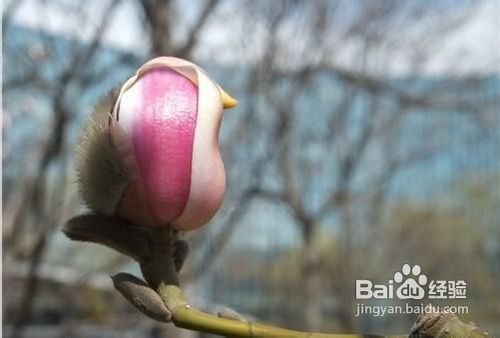 新手怎样玩单反