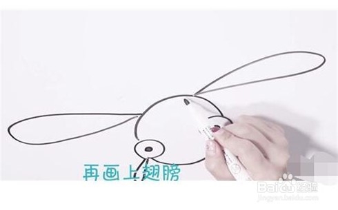 伴儿成长简笔画系列-怎样画蜻蜓简笔画