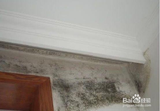 房间墙壁发霉怎么处理