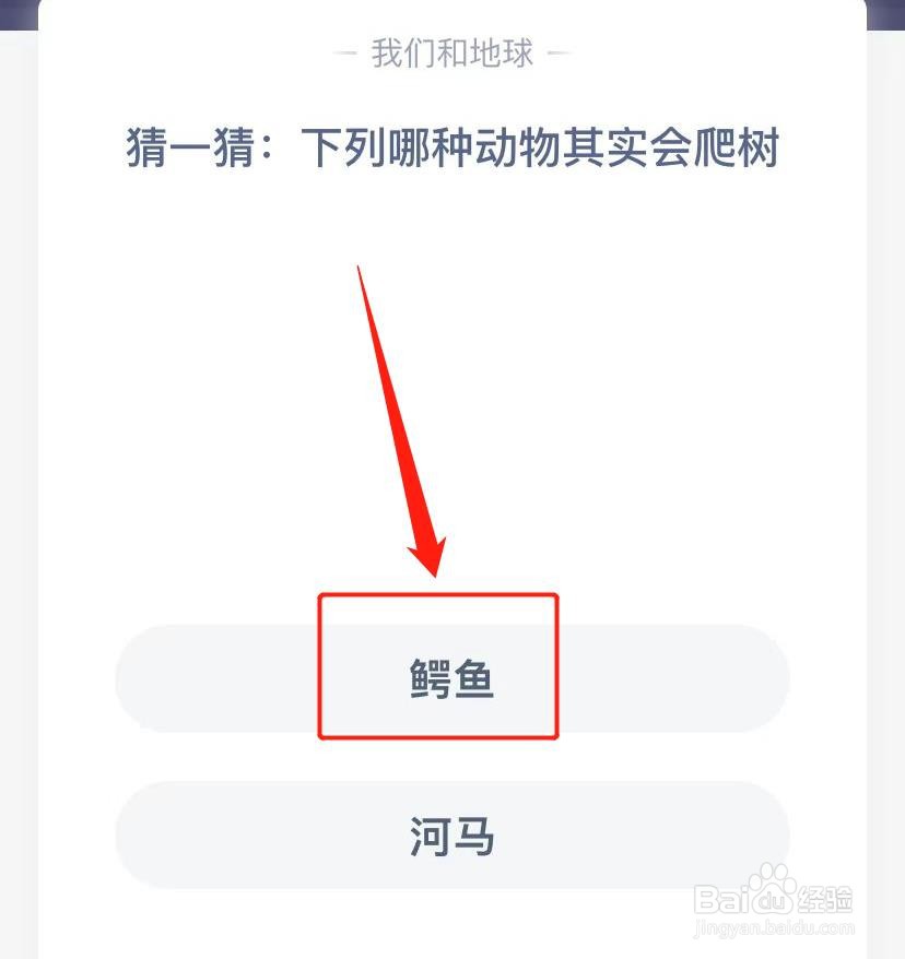 蚂蚁庄园问答题，下列哪种动物其实会爬树