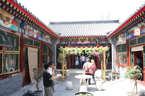 北京探百年玉兰赏花攻略