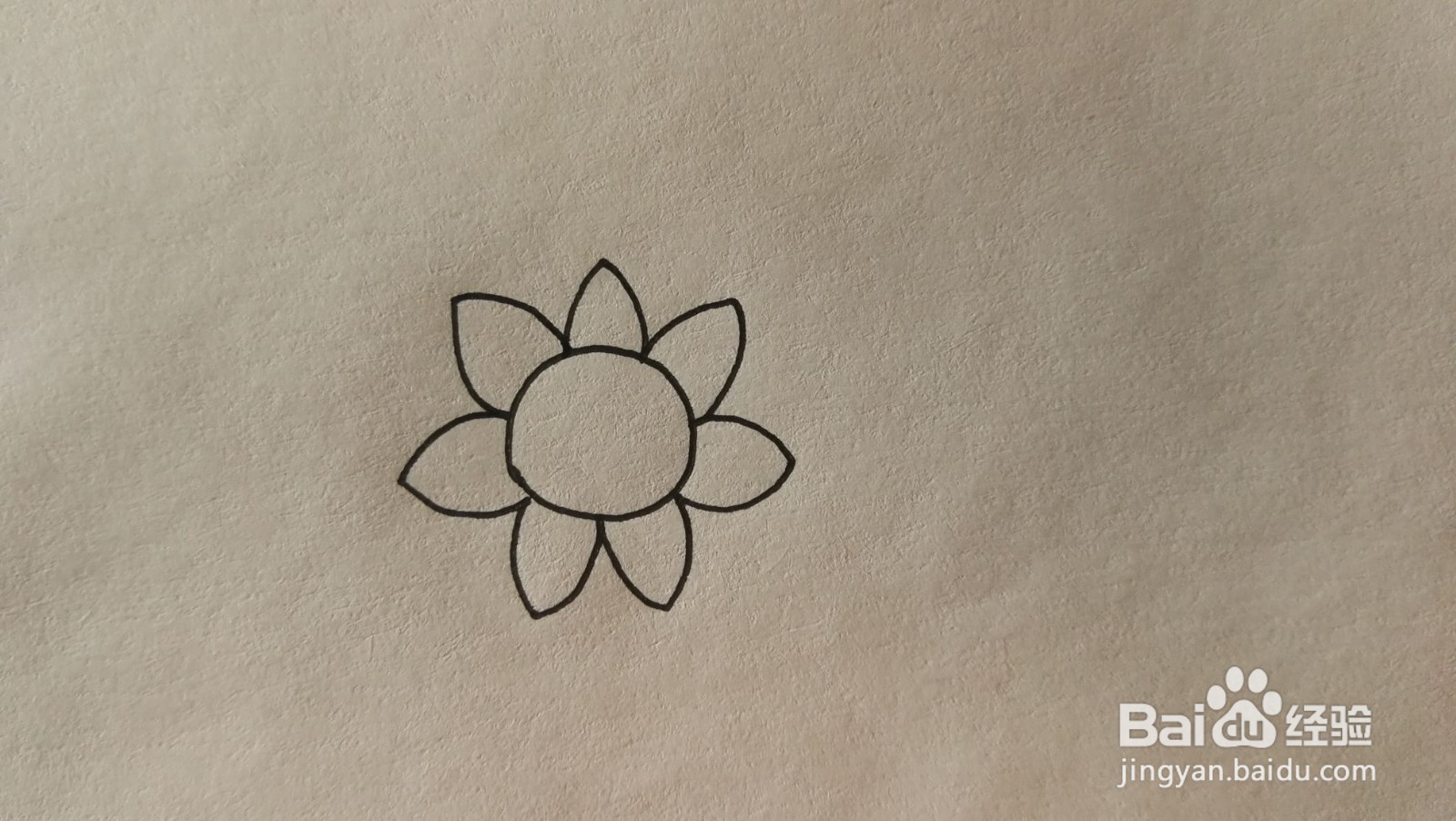 #经验分享官#向日葵简笔画