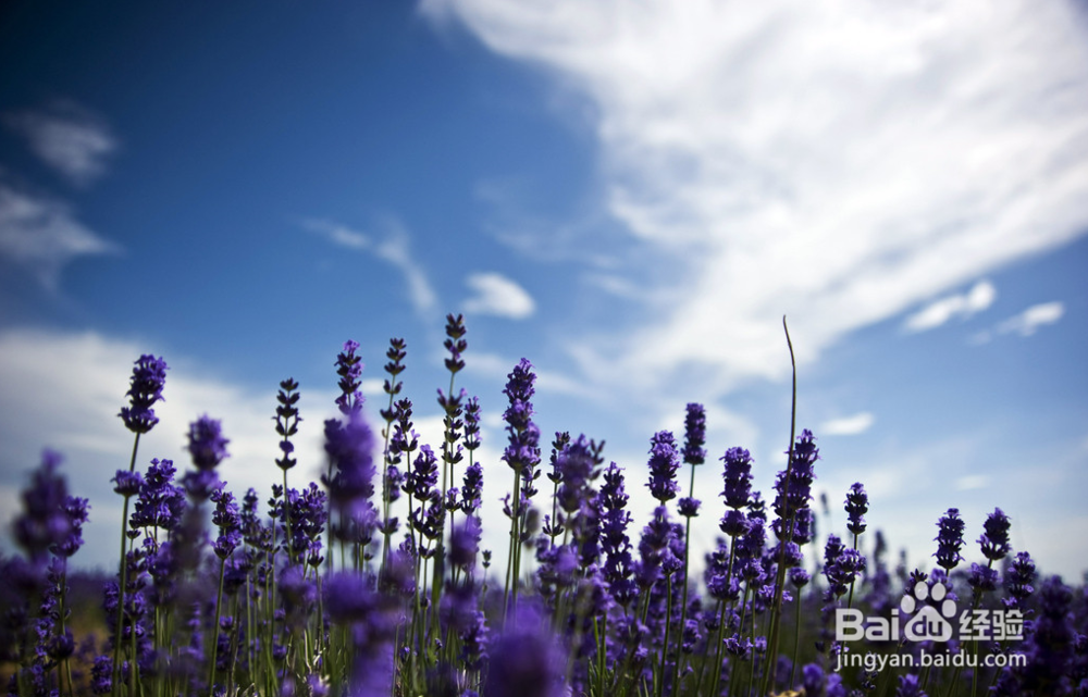 如何去控制情绪