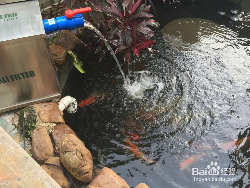 鱼池过滤大全