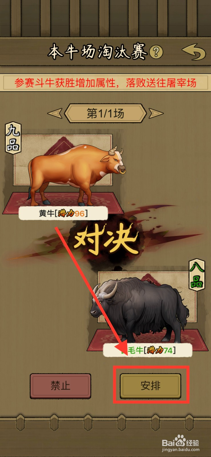 叫我养牛王怎么安排黄牛和长毛牛对决赛