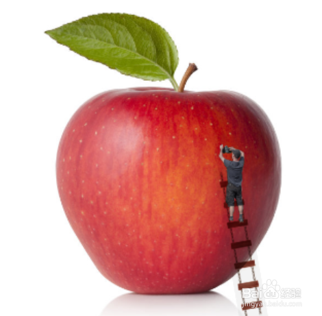 Photoshop如何制作园丁护理苹果特效