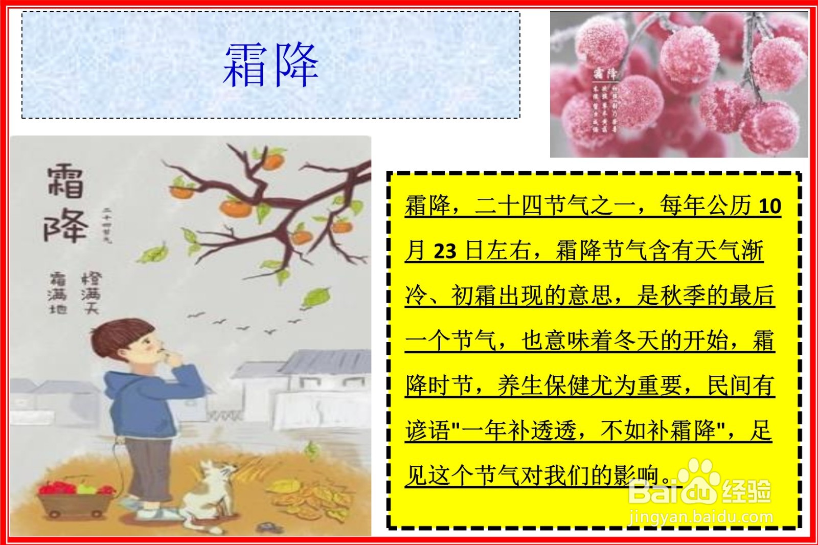霜降手抄报图片