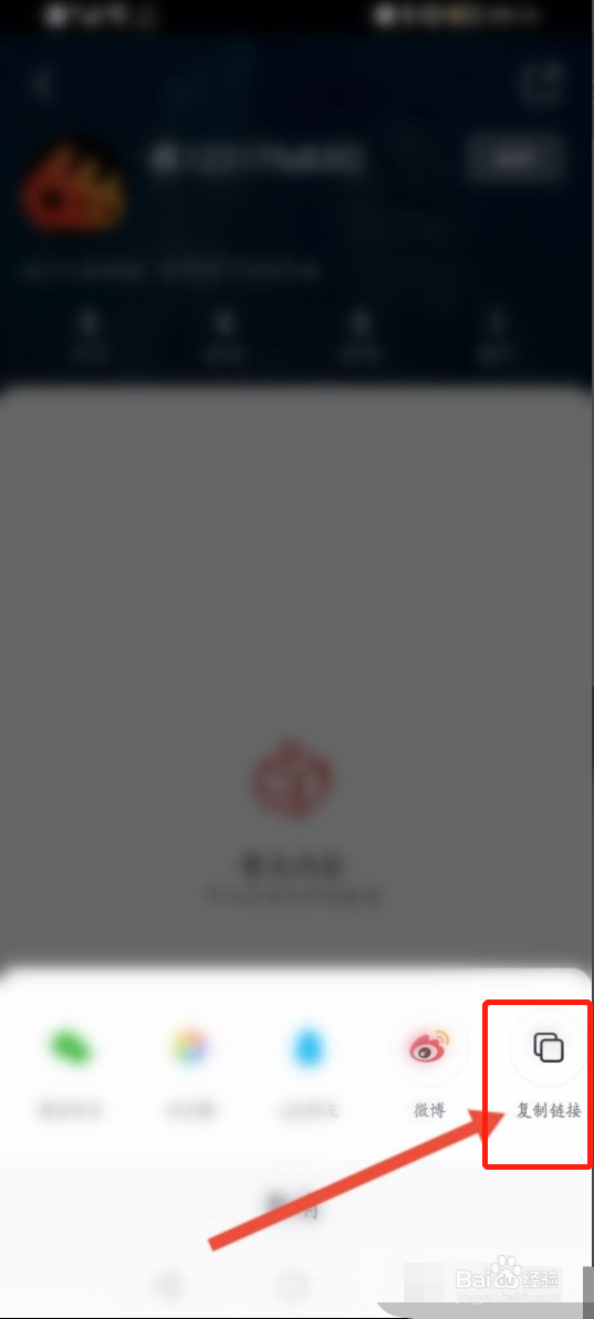 央视频主页的链接如何复制