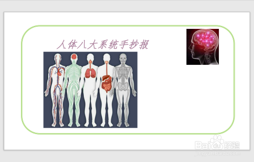 人体八大系统手抄报