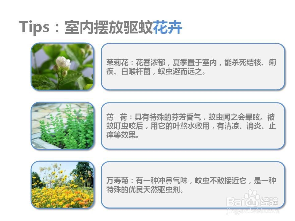 夏季宝宝防蚊6招