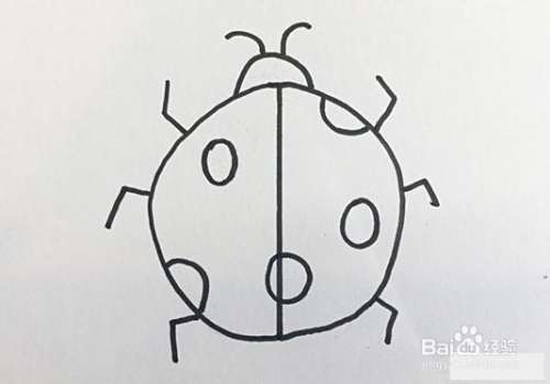 昆虫简笔画怎么画