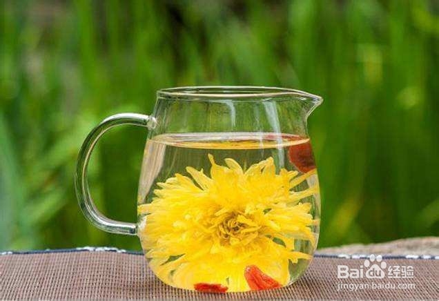 如何挑选菊花茶