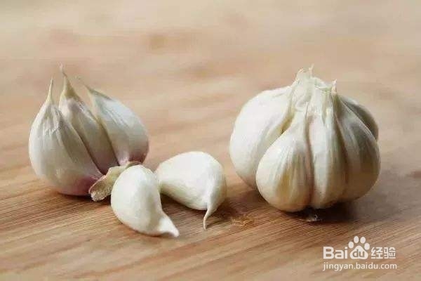 居家消灭蟑螂有妙招