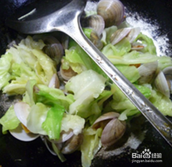 包心菜炒圆蛤的具体做法