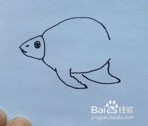 鱼的简笔画怎么画？