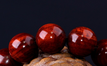 鸡血红小叶紫檀是什么