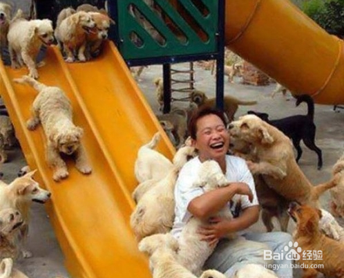 当你们看完这些故事后,请善待你身边每一个动物